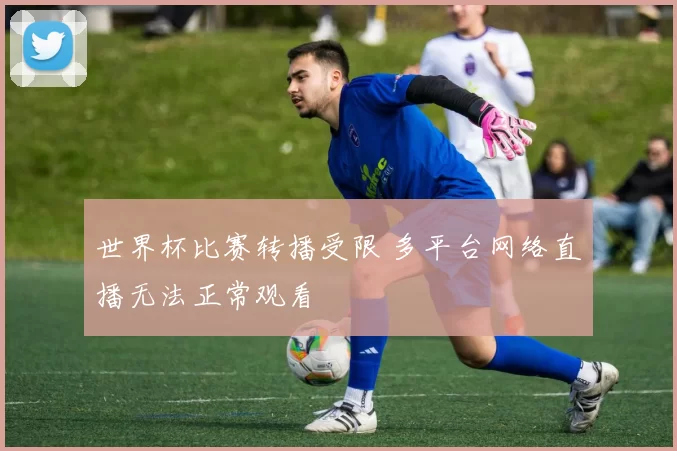 世界杯比赛转播受限 多平台网络直播无法正常观看